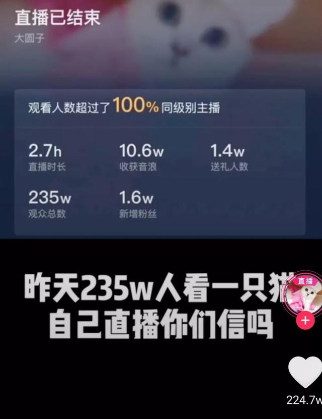 工体十三姨解密“云蹦迪”：疫情催生无聊经济一夜打赏200万不是常态