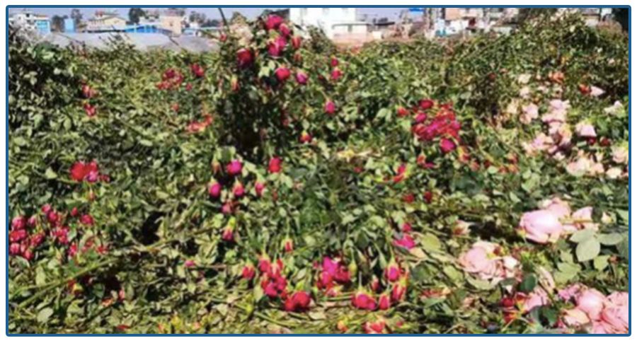 停擺一個(gè)月，10個(gè)行業(yè)少了5000000000000元，這個(gè)“坑”怎么填？