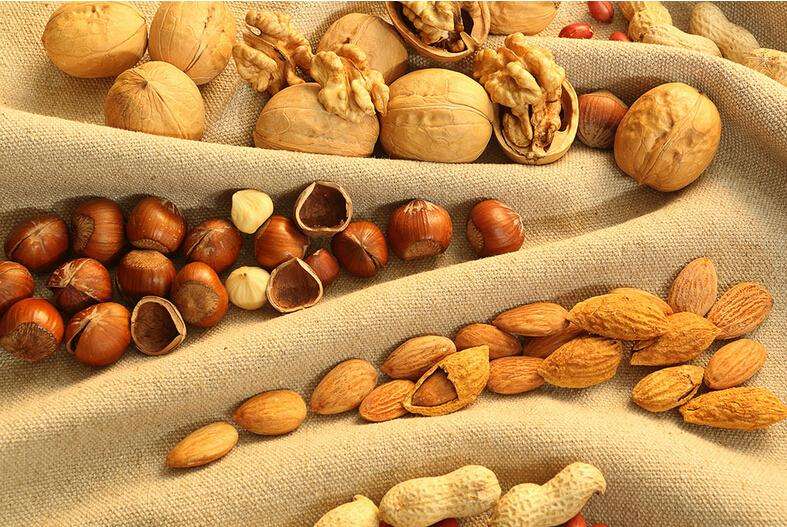 堅果企業如何從“流量品牌”到“常青品牌”?