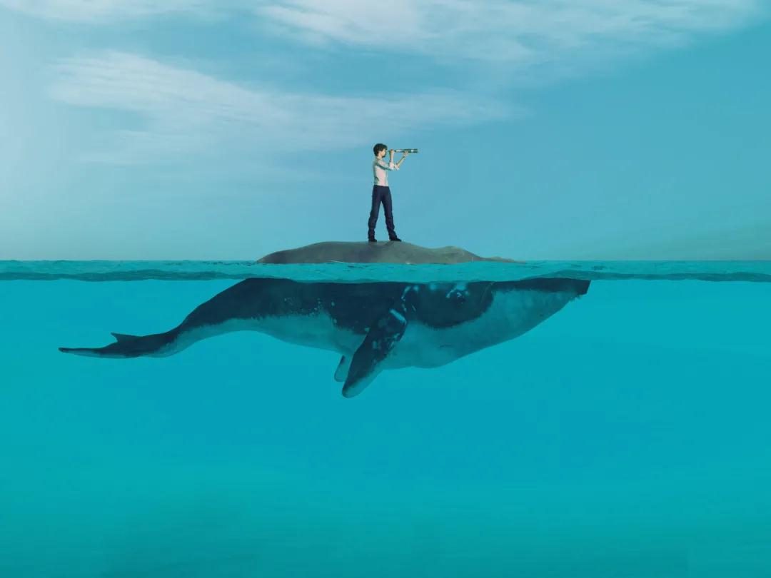 VC/PE围猎巨鲸,2020