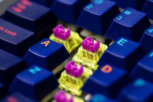 亞文化+社群共創進軍TWS領域，怒喵科技發布新品牌NOWIRE