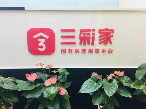 2019年凈利潤(rùn)增長(zhǎng)532%，三彩家公開遞交上市招股書