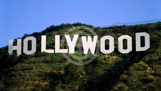 好萊塢公式不靈了？《信條》《花木蘭》口碑雙雙遇冷