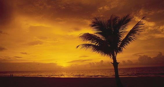 抢百亿抗抑郁药市场？国产药企纷纷入局