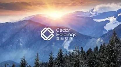 雪松信托220億暴雷背后：頭部信托頻繁踩雷，數(shù)百億產(chǎn)品難兌付