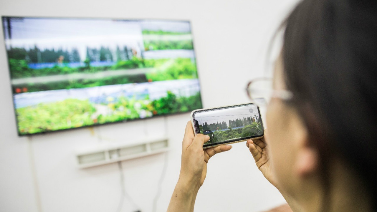 赛尔克斯的智慧农业新方向,聚焦野外窄带物联网低功耗建设