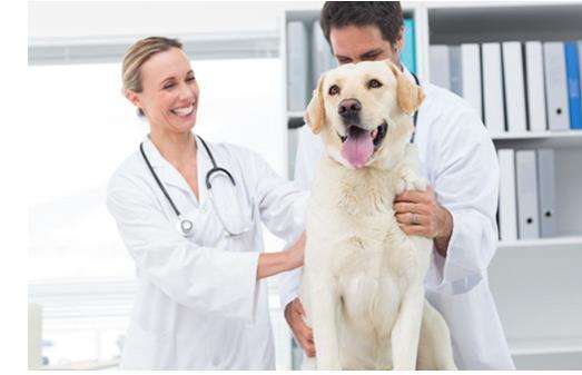腾讯领投，宠物医疗服务提供商“新瑞鹏宠物医疗集团”完成数亿美元战略融资
