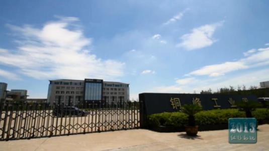 7個漲停后實控人宣告破產，股價跌落神壇“鐵牛系”何去何從？