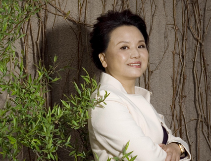 從“女首富”到“女首負(fù)”!何巧女被15家金融機構(gòu)逼債