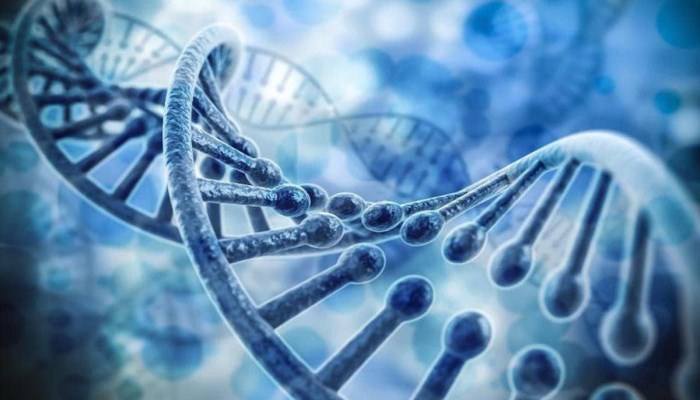 基因組學(xué)與分子診斷公司“閱爾基因”完成4200萬美元A輪融資