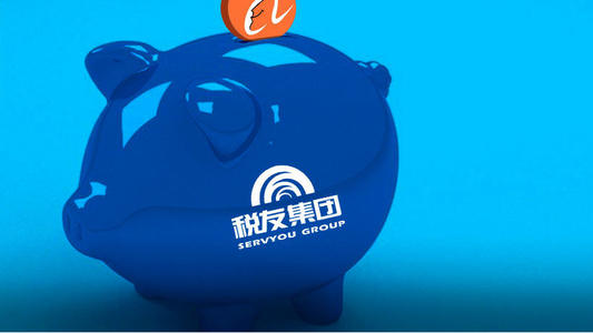 税友集团即将上市：实控人身价近40亿元？蚂蚁集团、普华资本分羹