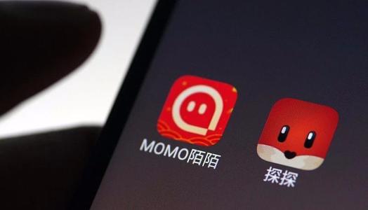 陌陌财报两大亮点：追求系统性健康，探探VAS抢眼