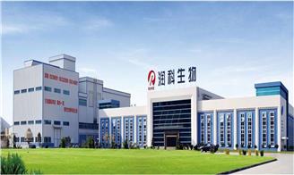 润科生物靠“脑黄金”IPO能否一帆风顺