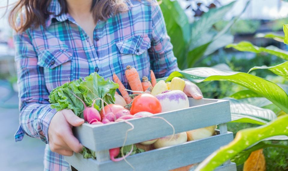 争夺生鲜电商第一股：叮咚买菜、每日优鲜为何着急？