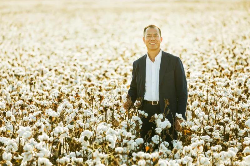 曲折上市的穩(wěn)健醫(yī)療:2次進(jìn)化,3大品牌,成就755億市值棉花王國(guó)