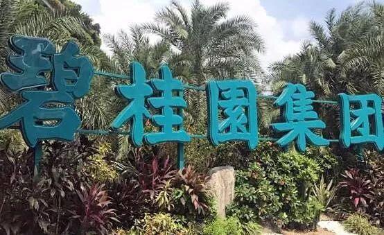 碧桂园7万套房源7折起，房企打响年末“收官战”