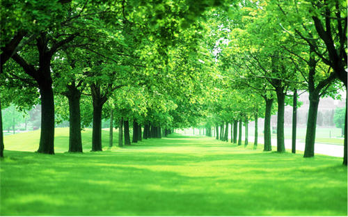 小得环保完成500万元天使轮融资，由深圳市华昂创业投资控股有限公司主投