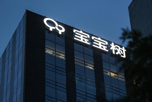 宝宝树管理组织升级，董事长王怀南牵头成立战略委员会