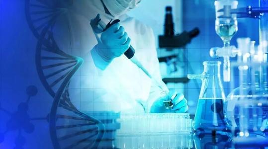 本草資本領投，智因東方完成逾億元B輪融資