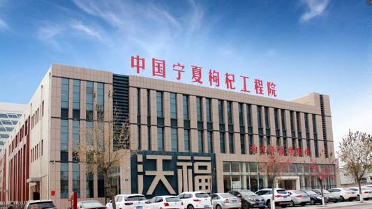 “枸杞第一股”即將來(lái)襲？老外貢獻(xiàn)營(yíng)收超80%