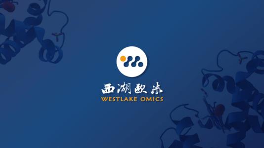 深耕蛋白質(zhì)組學(xué)研究、助力精準(zhǔn)輔助診斷，西湖歐米完成數(shù)千萬元種子輪融資