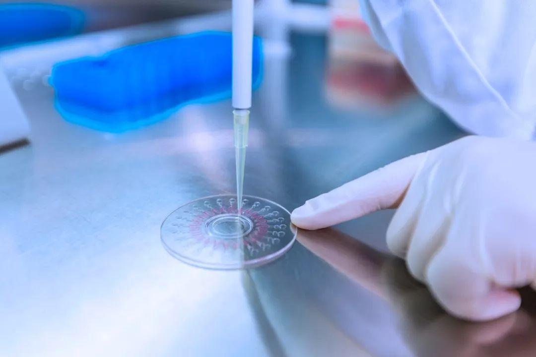 IDG資本領投，DelonixBioworks完成1400萬美元種子輪融資