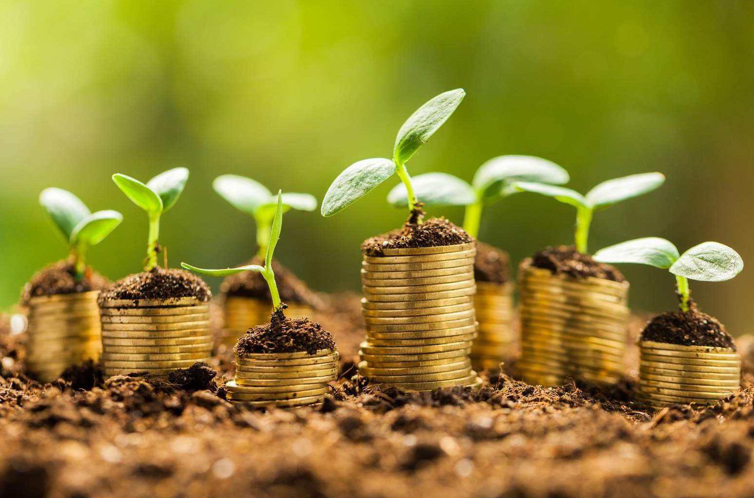 这类基金规模同比翻5倍“爆款”基金还会再爆雷吗？