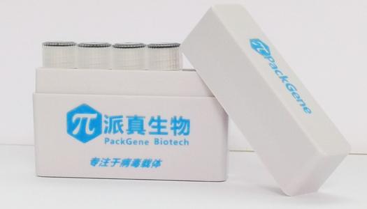 加快rAAV規模化產能擴張，派真生物完成數億元Pre-C輪融資