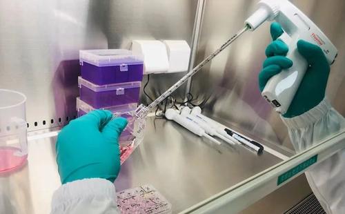 艾博生物完成6億元B輪融資，加速新冠疫苗研發(fā)