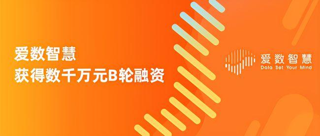 提供全球化人工智能数据服务，“爱数智慧”获数千万元B轮融资