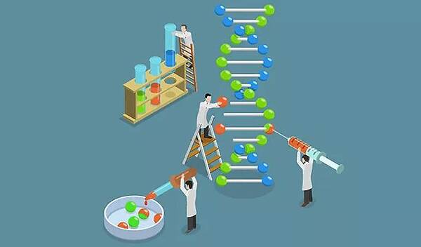 凈利接近腰斬，貝瑞基因：“基因測序第一股”跌停，“基因雙雄”境遇不同