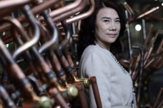 董明珠卸任格力电器旗下公司法人,庄培上位,再谋“退休计划”?