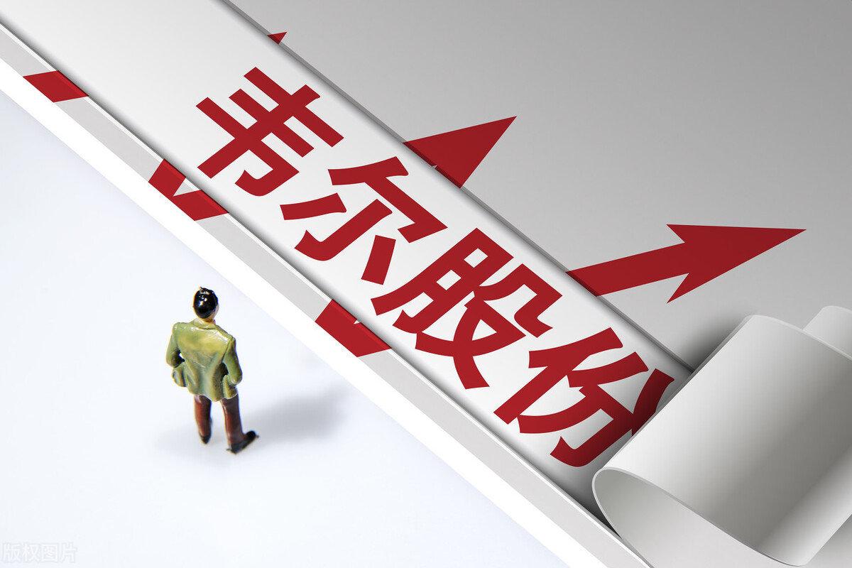 2300亿半导体巨头“韦尔股份”逼近跌停，曾因信披问题遭监管警示