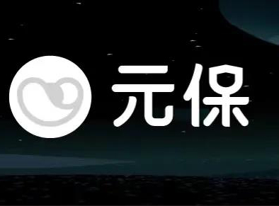 互联网保险科技平台「元保」宣布完成近10亿元C轮融资源码资本领投