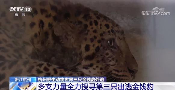 “瞒豹”动物园的股东：有人投资地产被执行，有人瞄上“灵丹妙药”犀牛角