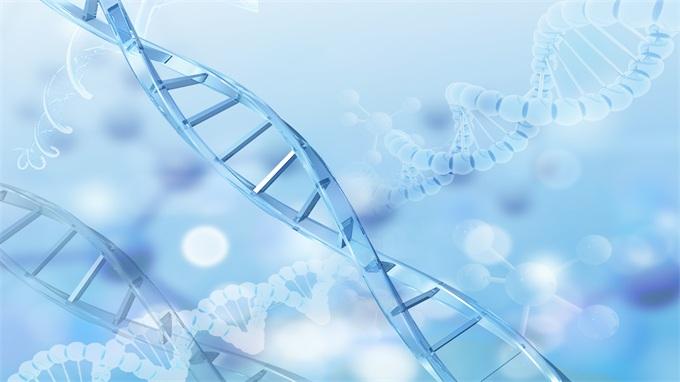中國自有基因編輯工具公司”輝大基因“完成4億元B輪融資