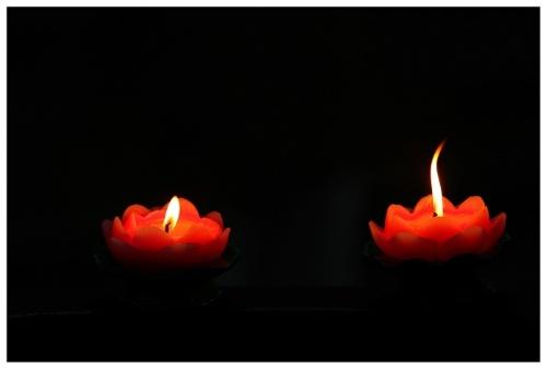 “杂交水稻之父”袁隆平：逝世，享年91岁