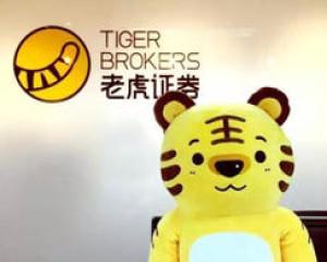 “老虎證券”發布2021年Q1財報：總營收8128萬美元，同比增長255.5%