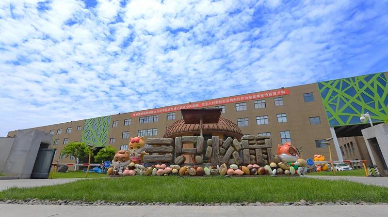 大股東套現(xiàn)，三只松鼠成長存疑