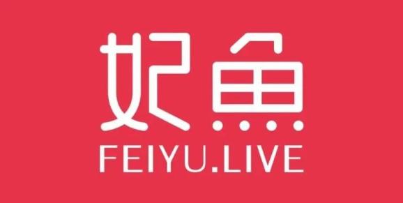 妃鱼完成近3000万美元B轮融资，五岳资本N5Capital继续领投