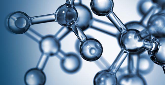 经纬中国领投原创，睿康生物获数亿元A轮融资