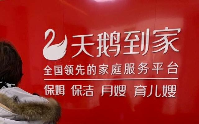 天鹅到家递交招股书，中国家庭服务平台第一股