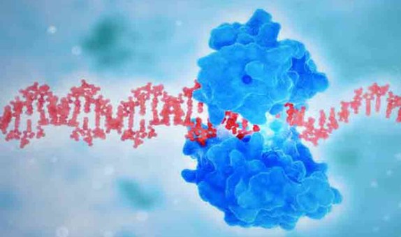 生物制造企業(yè)“酶賽生物”完成億元B輪系列融資