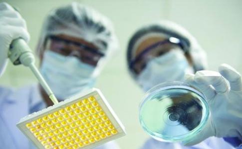 愷佧生物完成過億元A+輪融資，深度布局細(xì)胞基因治療和mRNA疫苗產(chǎn)業(yè)蛋白酶原料業(yè)務(wù)