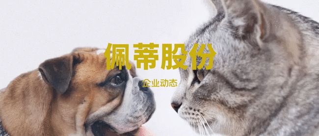 佩蒂股份:预计上半年盈利突破6000万,同比增长超38%