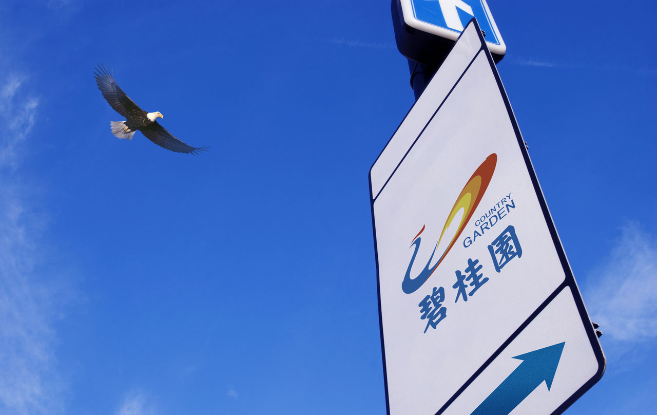 碧桂园“尸水”事件持续发酵，业主：至今还恶心，不接受处理结果