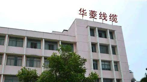 华菱线缆首份财报,10天9板后惨跌停,半年净利6650万同比增222%