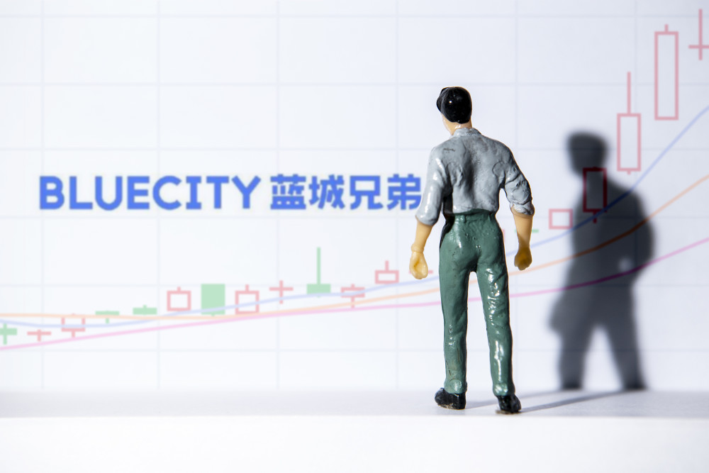 藍城兄弟：Q2營收2.919億元同比增長18.0%，付費用戶同比增長58.1%