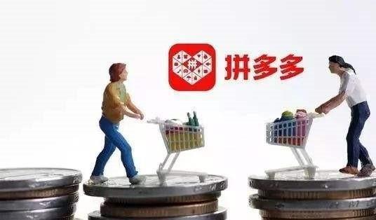 拼多多Q2财报:设立“百亿农研专项”,利润优先投入该计划