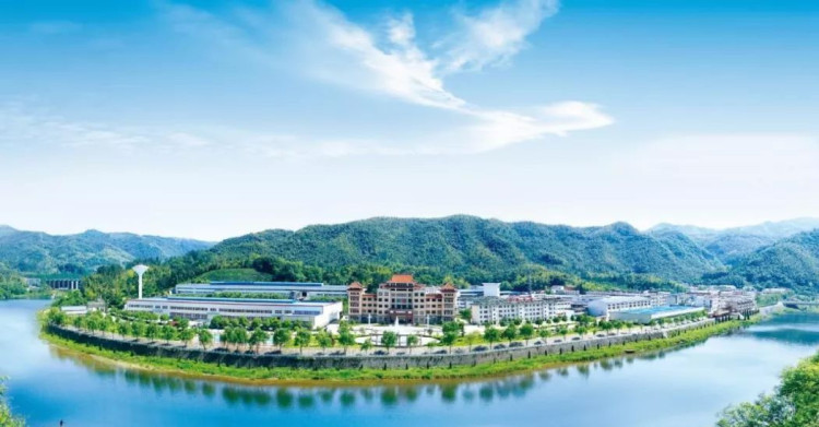 迎驾贡酒在囤什么?上半年营收增长52%,但存货占总资产近半